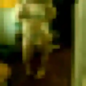 Touria, 40 ans, en ligne à Pommerieux pour une rencontre coquine