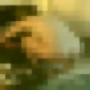 Photo de Daniela à Pons (43 ans) - plan cul gratuit