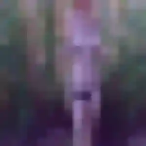 Elvire, 43 ans, cherche un plan cul à Pont-de-Vaux