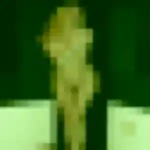 Photo sexy de Brigitte, 28 ans à Pontvallain - rencontre sans lendemain
