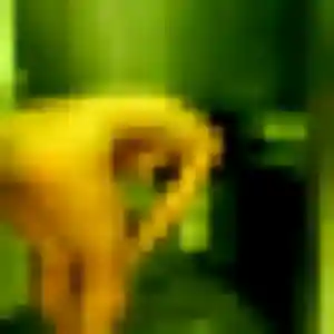 Photo privée de Cassandre, 39 ans à Port-Sainte-Marie - rencontre sans lendemain