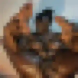 Tania (35 ans) à Pouzauges propose une rencontre maintenant