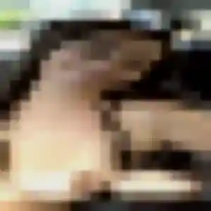 Emmanuelle, 28 ans, connectée à Prinquiau pour une rencontre coquine