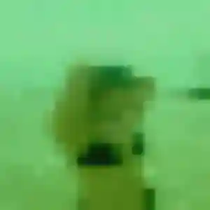 Belle Germaine, 42 ans à Puch-d'Agenais - la contacter
