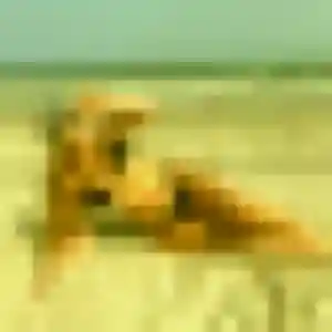 Photo de Fiona à Pujo-le-Plan (38 ans) - plan cul gratuit