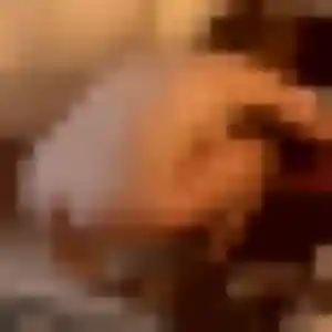 Zineb, 27 ans, disponible à Queyrac pour une rencontre coquine