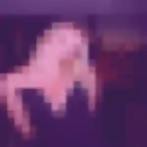 Photo sexy de Camille, 32 ans à Quibou - plan discret