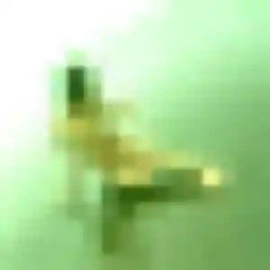 Photo de Lily à Reipertswiller (42 ans) - plan cul anonyme