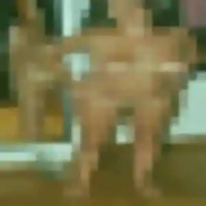 Louna, fille de 36 ans cherche plan cul à Rethondes