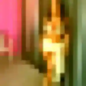 Belle Karen, 31 ans à Rieulay - la contacter