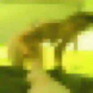 Domitille, 41 ans, cherche un plan cul à Ris-Orangis