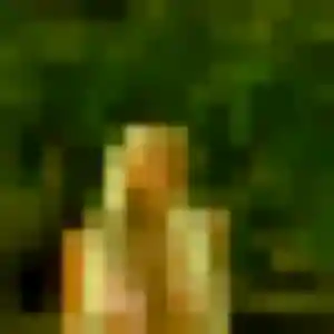 Photo de Jessica à Robiac-Rochessadoule (23 ans) - plan cul anonyme
