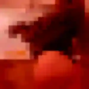 Adeline, 26 ans, cherche un plan cul à Rochemaure