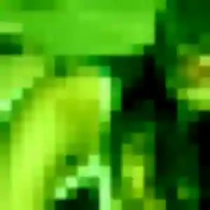 Photo perso de Siham, 42 ans à Rœulx - rencontre coquine