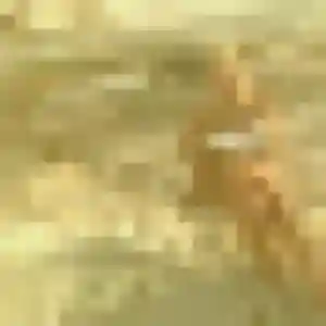 Photo privée de Camille, 32 ans à Romilly-sur-Seine - rencontre sans lendemain