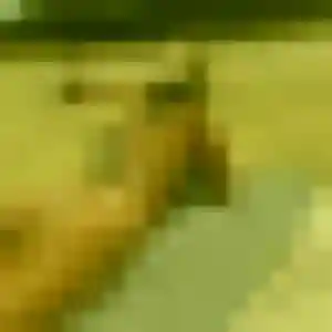 Photo de Elise à Rosel (32 ans) - plan cul anonyme
