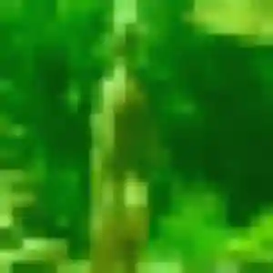 Photo perso de Kenza, 44 ans à Rouez - rencontre coquine
