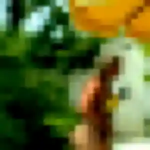 Alicia, 29 ans, connectée à Rouillon pour une rencontre coquine