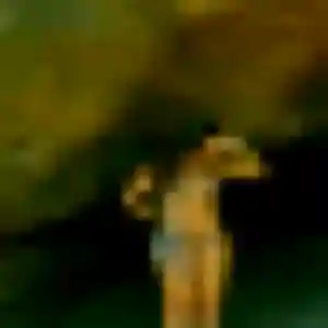 Profil de Marie-Cecile à Roussillon (23 ans) - plan cul gratuit