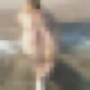 Jolie Ava, 29 ans à Roz-sur-Couesnon - la contacter