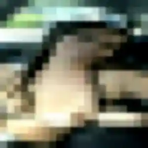 Charmante Daphne, 41 ans à Saint-Agnin-sur-Bion - la contacter