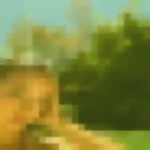 Profil de Patricia à Saint-Aignan (41 ans) - plan cul anonyme