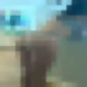 Photo perso de Lise, 33 ans à Saint-Amé - rencontre coquine