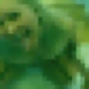 Jolie Fabienne, 44 ans à Saint-André - découvrir son profil