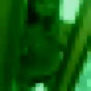 Jennifer, femme de 25 ans cherche plan cul à Saint-André-de-Corcy