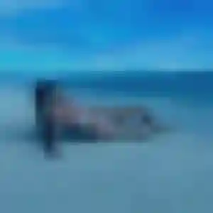 Gladys de Saint-Aubin-de-Médoc, 28 ans - plan cul sans prise de tête