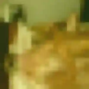 Photo privée de Cindy, 29 ans à Saint-Aubin-du-Cormier - plan discret