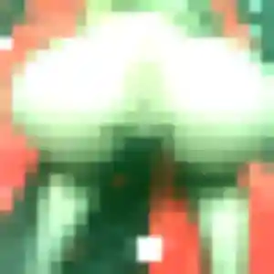 Photo de Solene à Saint-Aubin-lès-Elbeuf (41 ans) - plan cul anonyme