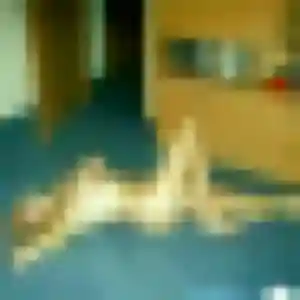 Tamara, 43 ans, dispo pour plan cul à Saint-Avre