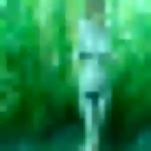 Photo privée de Graziella, 45 ans à Saint-Barthélemy-de-Vals - rencontre coquine