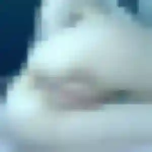 Profil de Nadine à Saint-Bauzély (33 ans) - plan cul gratuit