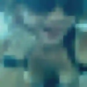 Charmante Naomi, 39 ans à Saint-Brice-sur-Vienne - voir sa photo