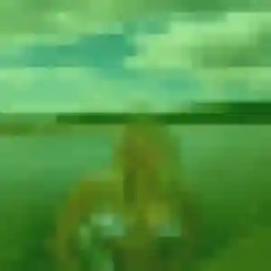 Profil de Fiona à Saint-Bris-le-Vineux (26 ans) - plan cul discret
