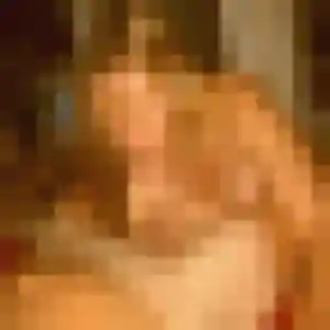 Profil de Emma à Saint-Christophe-en-Bresse (39 ans) - plan cul gratuit