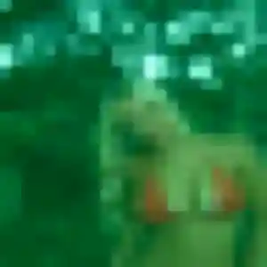 Profil de Ingrid à Saint-Denis-d'Oléron (30 ans) - plan cul anonyme