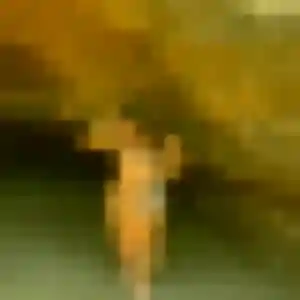 Photo perso de Bertille, 34 ans à Saint-Denis-d'Orques - rencontre coquine