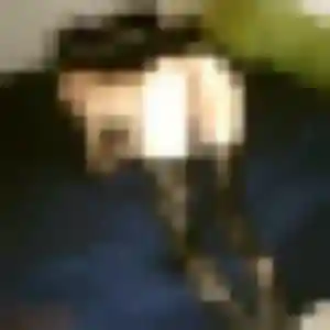 Rym, femme de 38 ans propose plan cul à Saint-Dizier