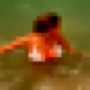 Cecile, 29 ans, dispo pour plan cul à Saint-Épain