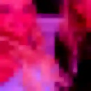 Photo exclusive de Delice, 27 ans à Saint-Étienne-les-Orgues - rencontre coquine