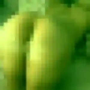 Belle Fanny, 28 ans à Saint-Ferréol - voir sa photo