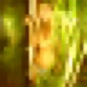 Claire de Saint-Florent-sur-Auzonnet, 34 ans - plan cul discret