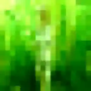 Profil de Lina à Saint-Fraimbault-de-Prières (42 ans) - plan cul gratuit