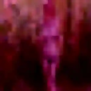 Photo privée de Priscilla, 44 ans à Saint-Genis-d'Hiersac - rencontre sans lendemain