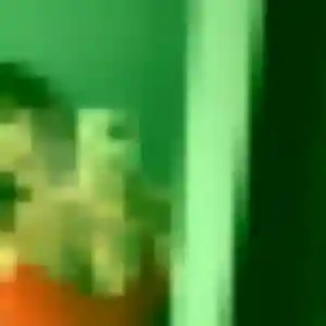 Sexy Ursula, 27 ans à Saint-Genou - voir sa photo