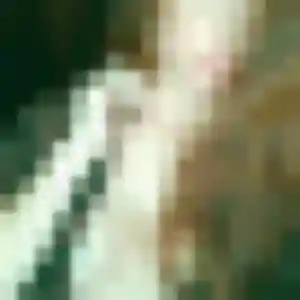 Photo perso de Rosalie, 31 ans à Saint-Germain-du-Bois - plan discret