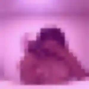 Rencontre Nicole, 24 ans à Saint-Germain-du-Corbéis en t'inscrivant
